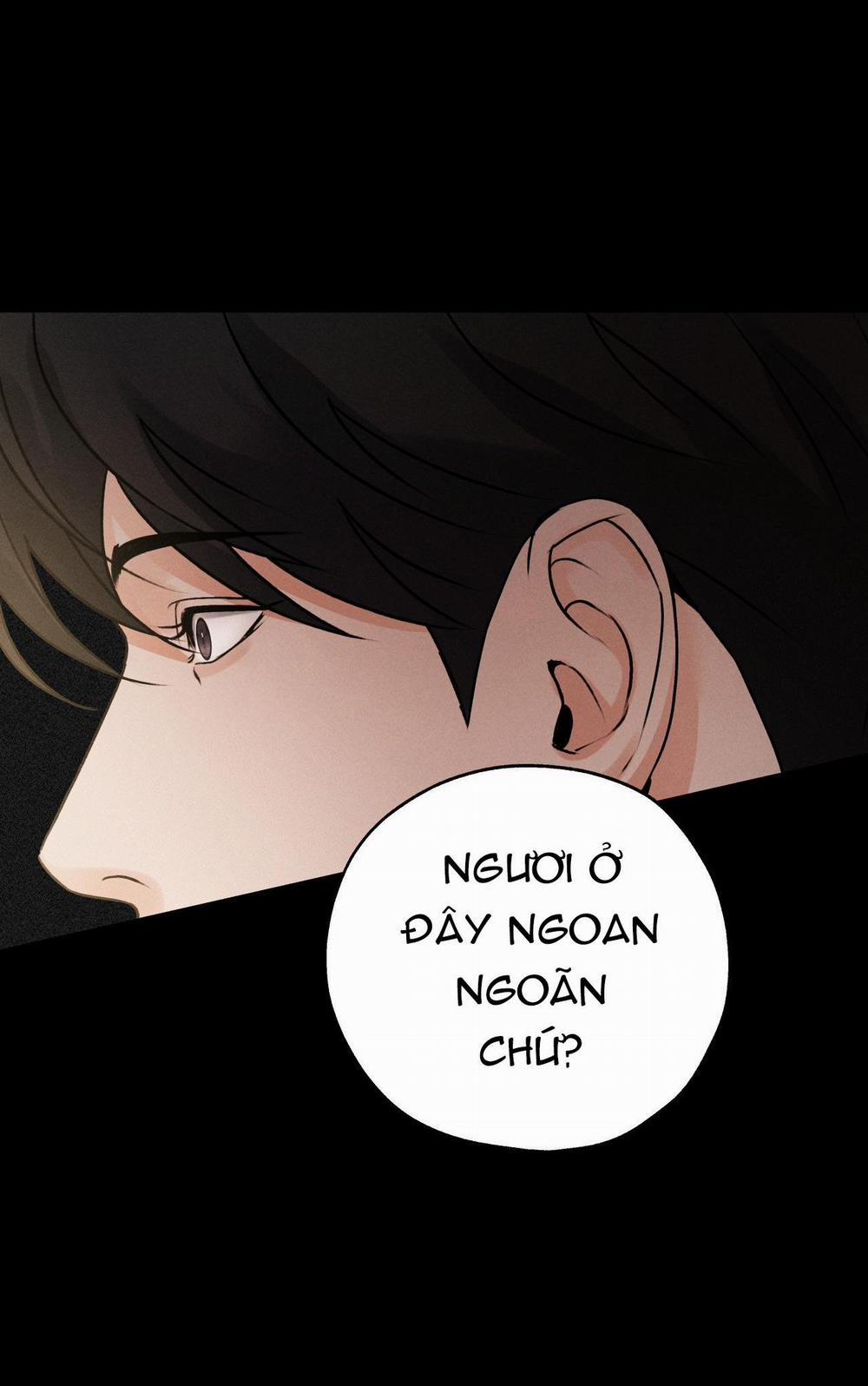 Dương Khí 15 trang 40