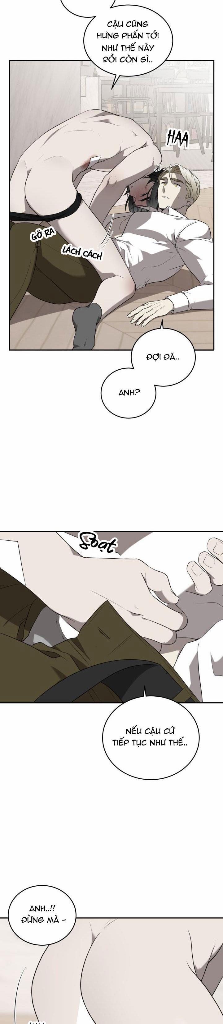 Dưỡng Thú Cưng 45 trang 17