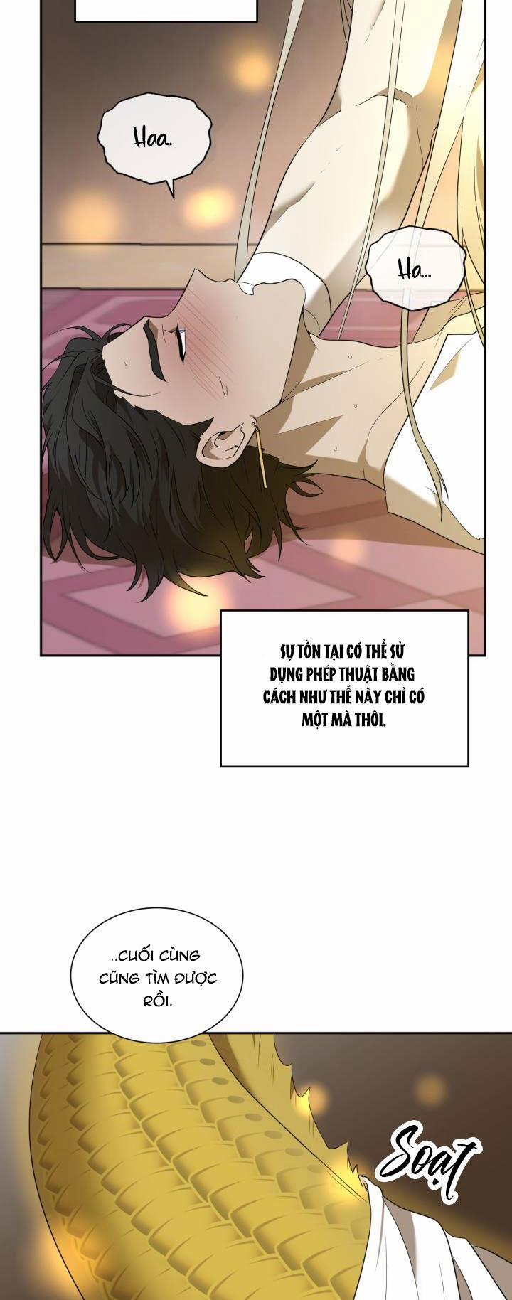 Dưỡng Thú Cưng 49 trang 28