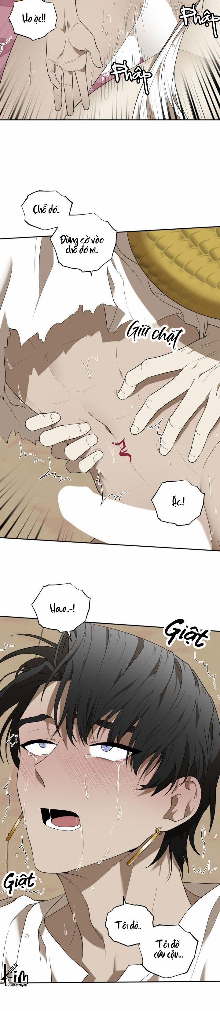 Dưỡng Thú Cưng 50 trang 19