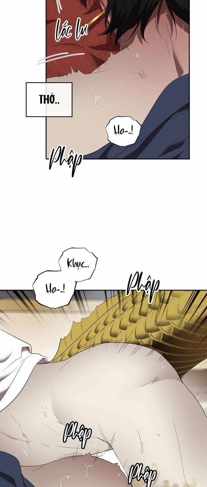Dưỡng Thú Cưng 54 trang 19