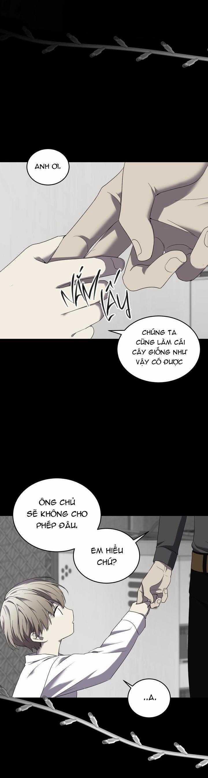 Dưỡng Thú Cưng 55 trang 26