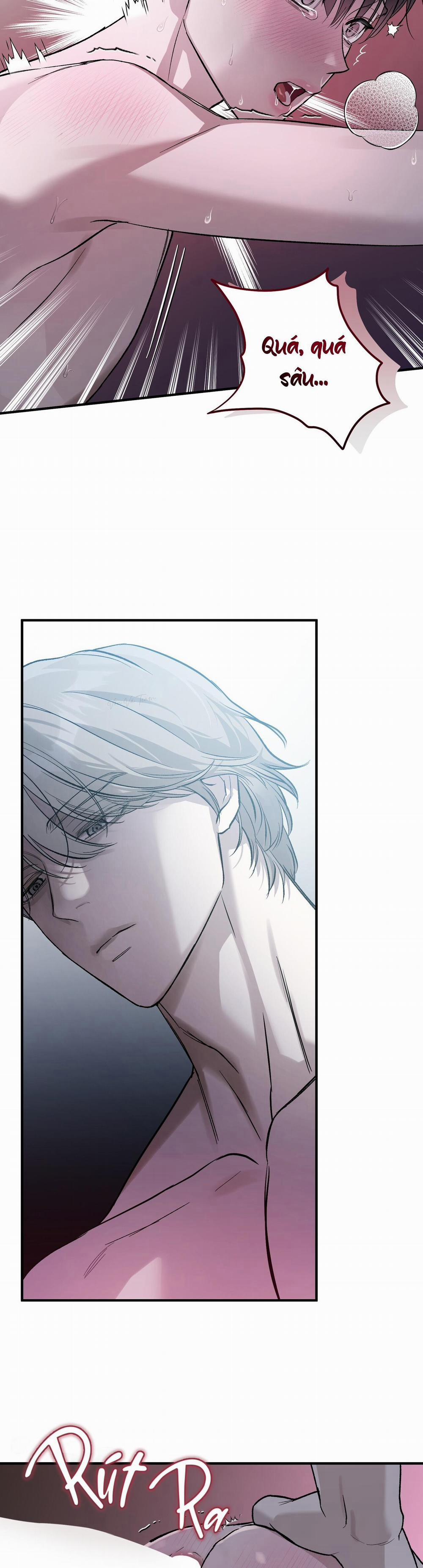 ❋ Ebony Castle ❋ 12 trang 11