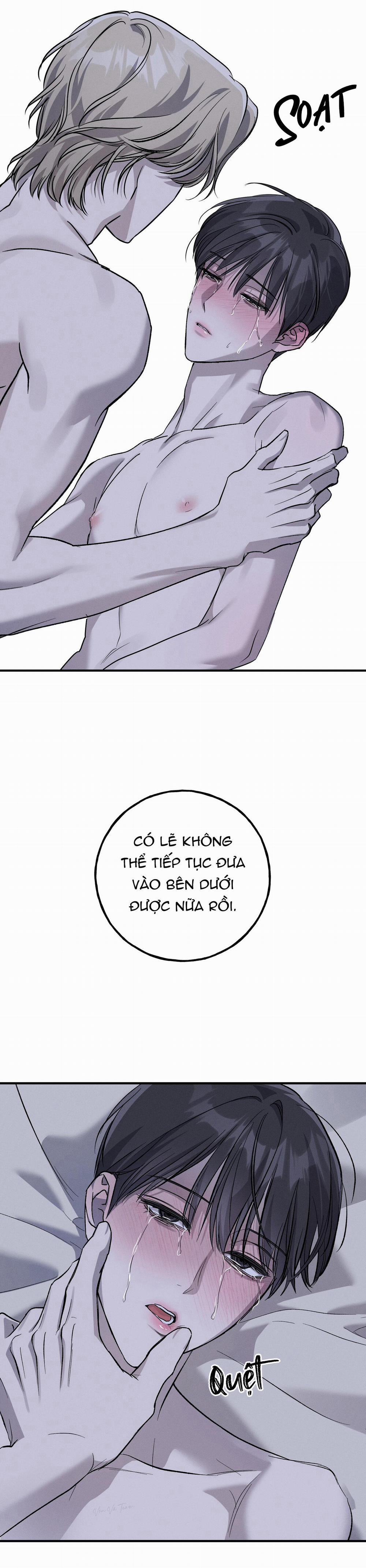 ❋ Ebony Castle ❋ 13 trang 11