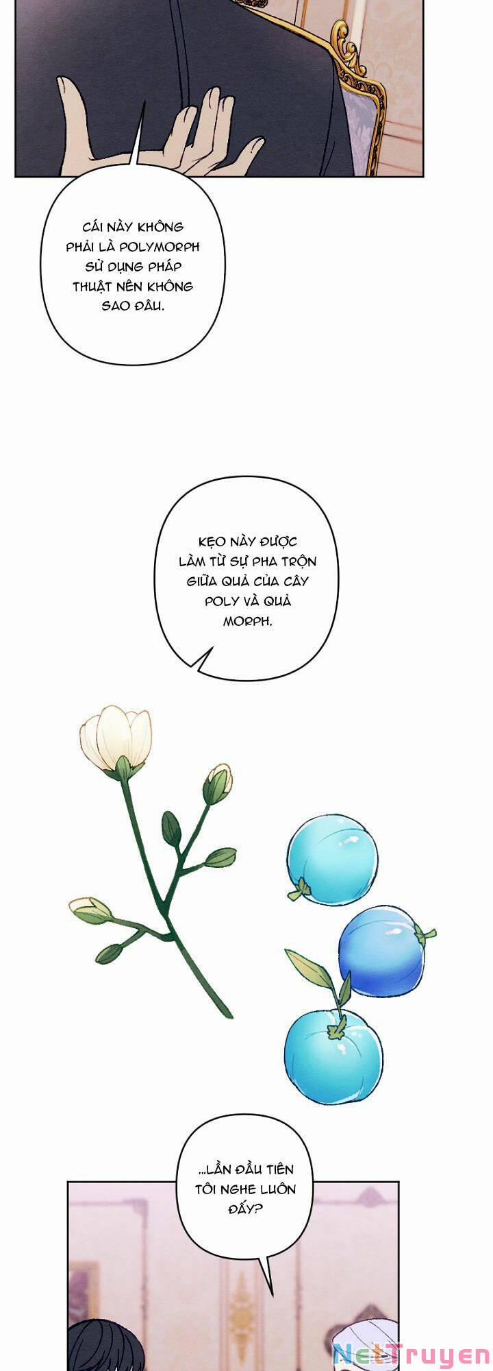 Em Ấy Muốn Trở Thành Chồng Của Tôi 36 trang 3