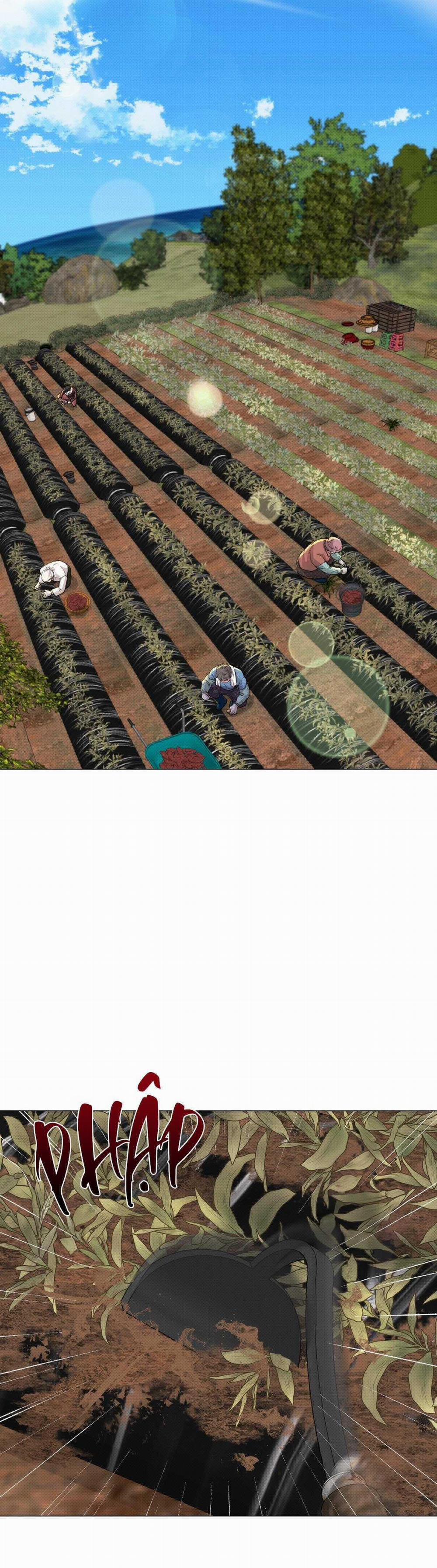 Em Bé Và Đại Ca 28 trang 25