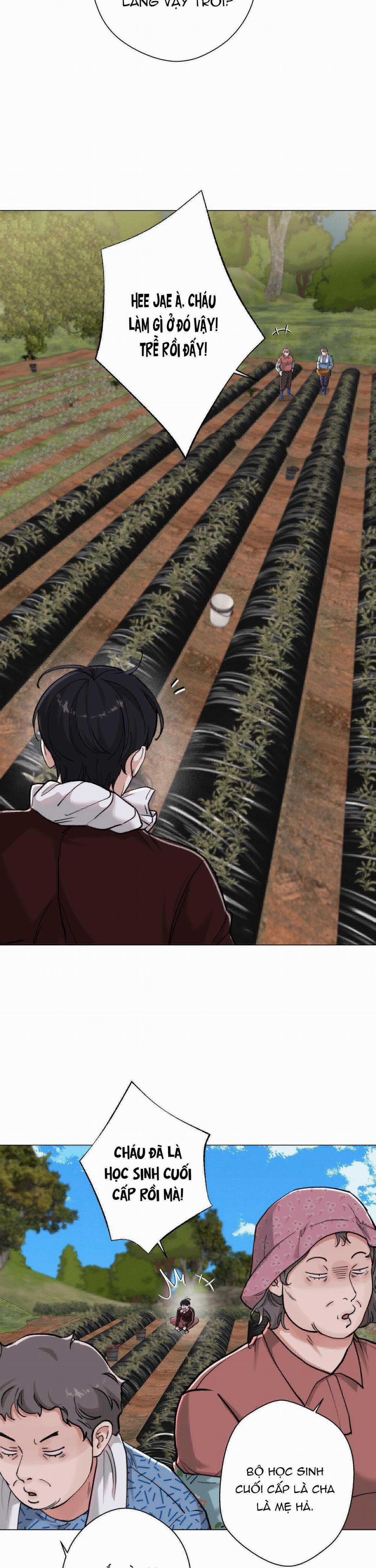 Em Bé Và Đại Ca 28 trang 31