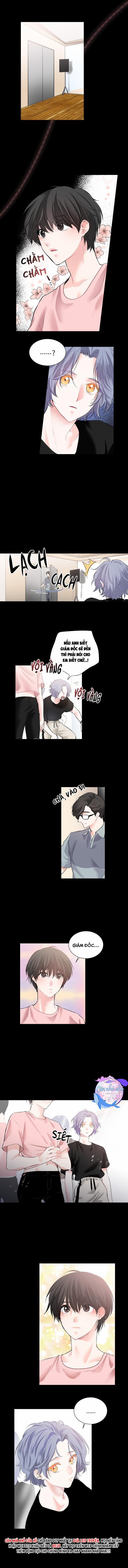 EM LÀ ÁNH SAO (END) 7 trang 5