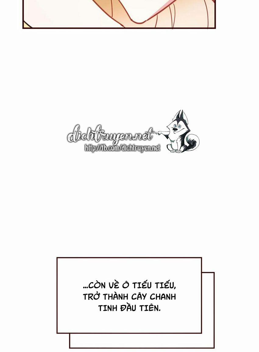 Em Là Bạc Hà Mèo Của Tôi 0 (END) trang 23