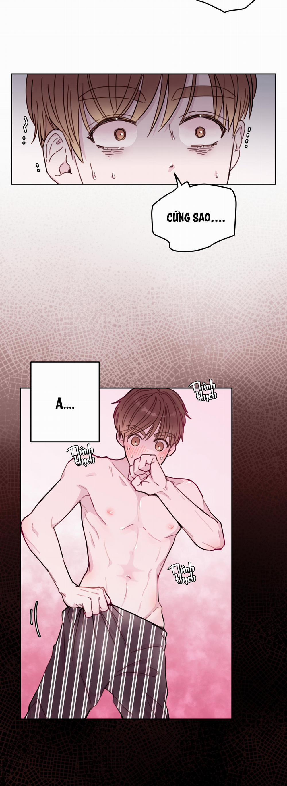 Em Trai Vợ Thật Nguy Hiểm 5 trang 11