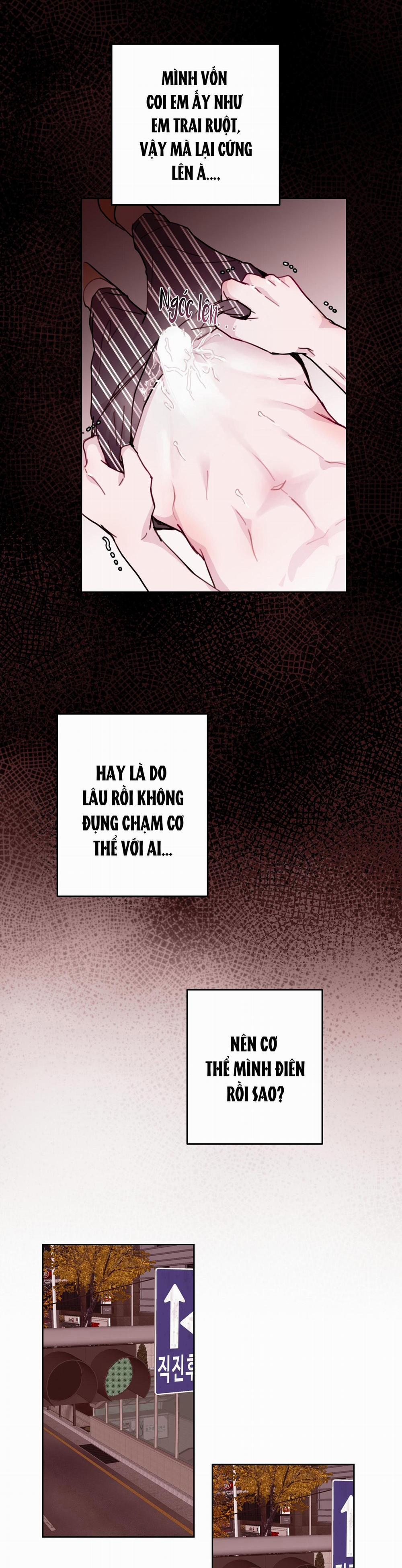 Em Trai Vợ Thật Nguy Hiểm 5 trang 12