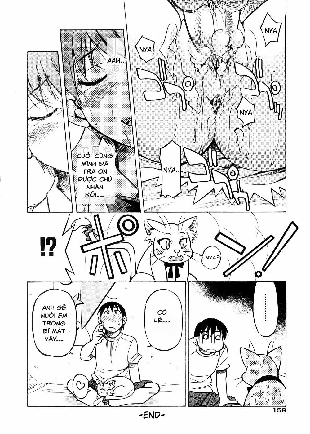 Escape Creator 7 trang 16