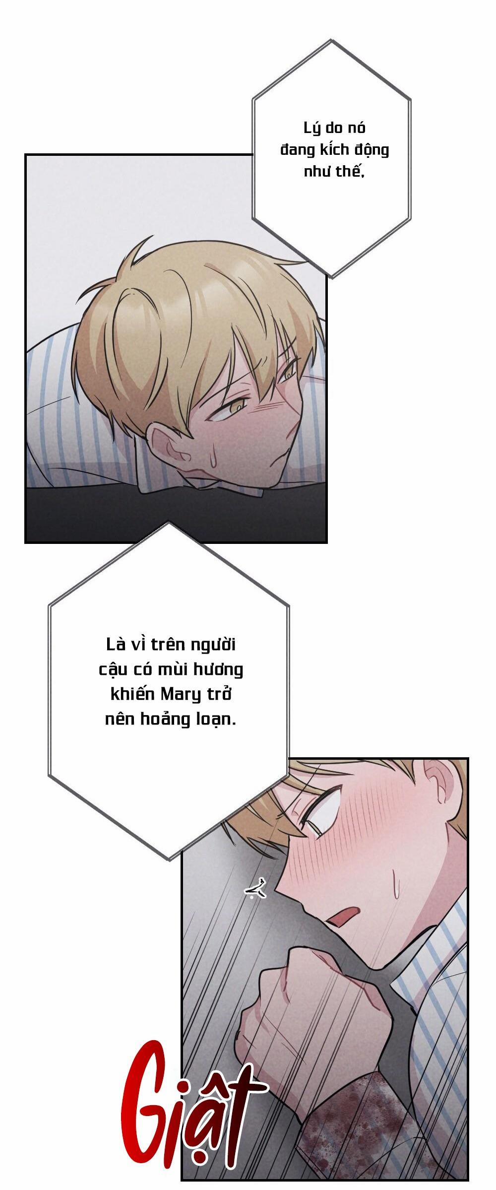 Escape Game Room 15 trang 26