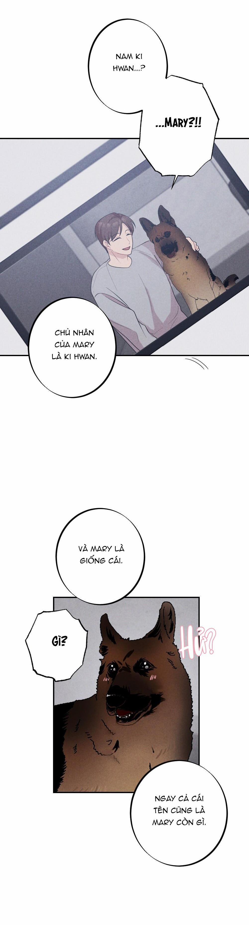 Escape Game Room 21 trang 35