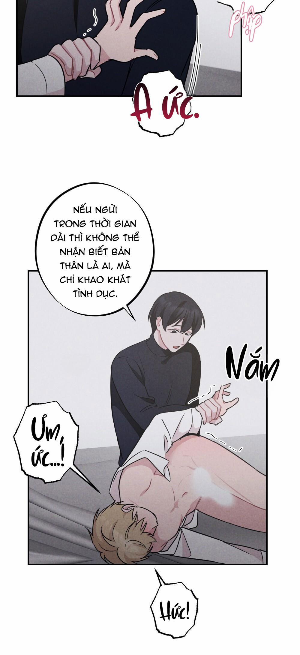 Escape Game Room 8 trang 31