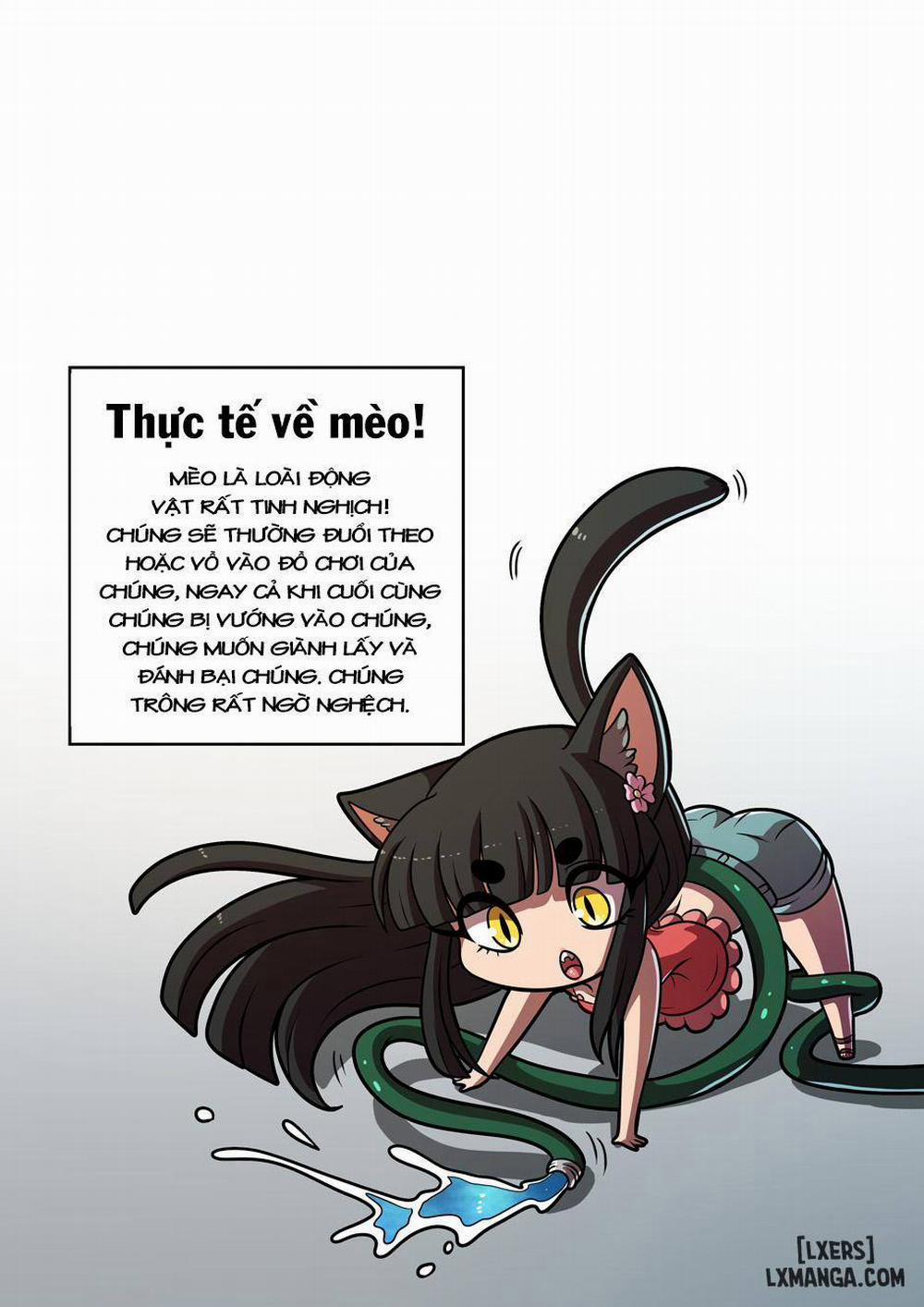 Feline Château 3 END trang 22