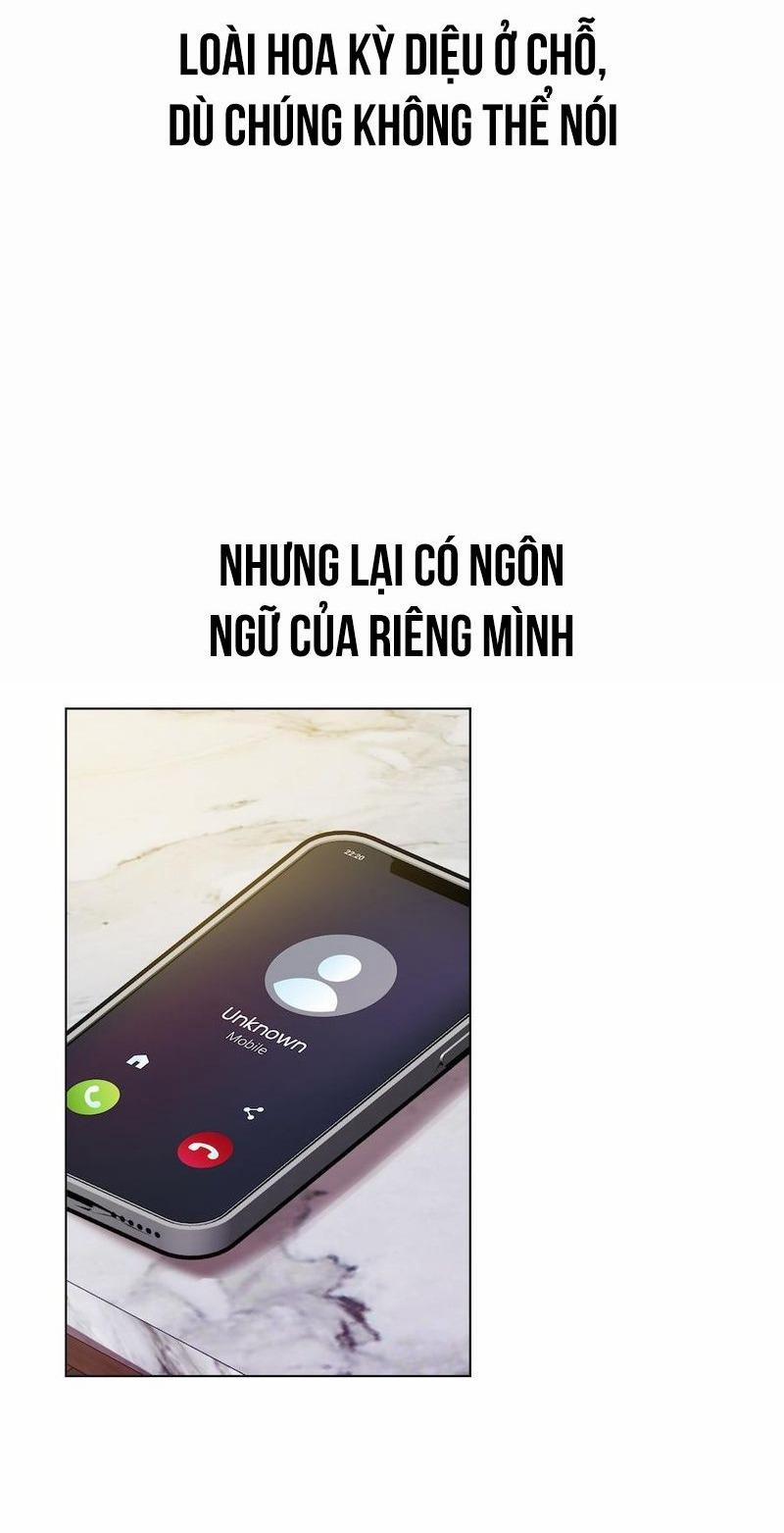 Flower Of Youth 2 trang 4