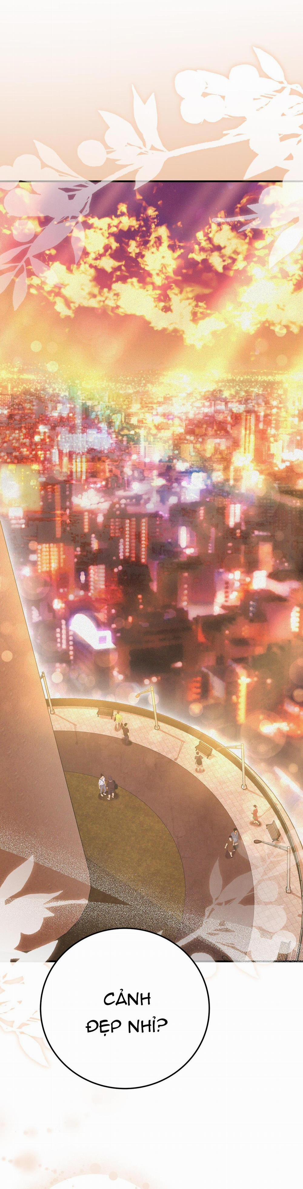 Formless 50 trang 23