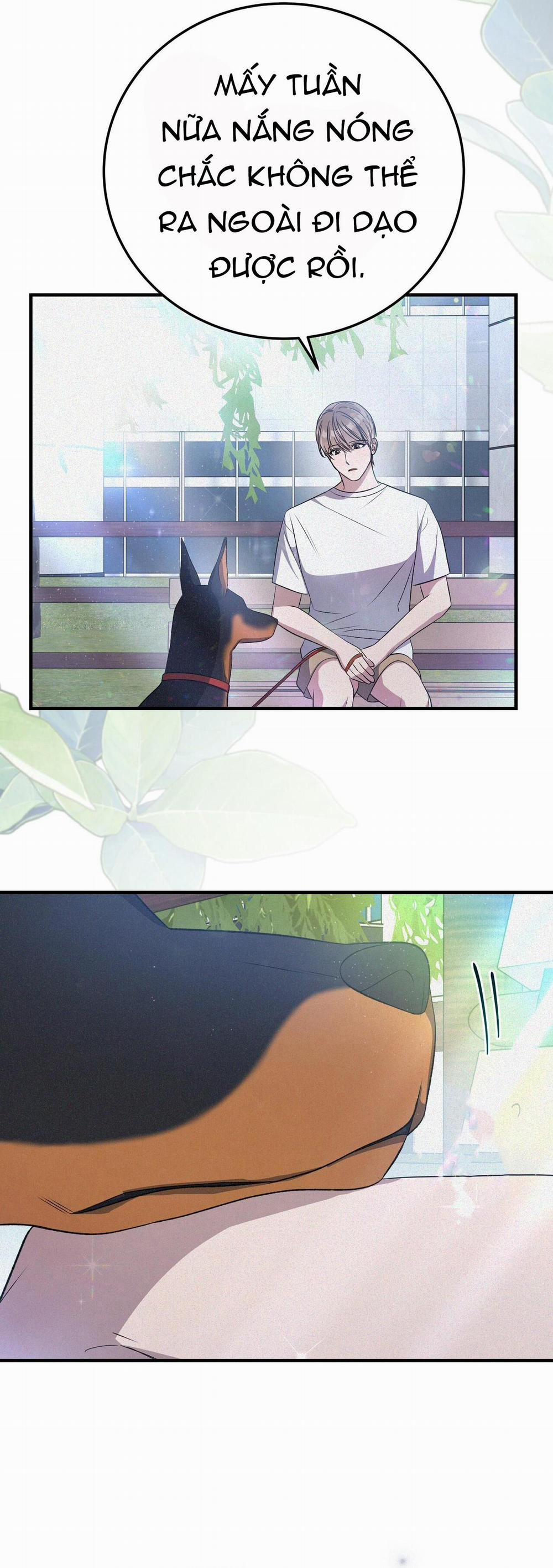 Formless 65 trang 13