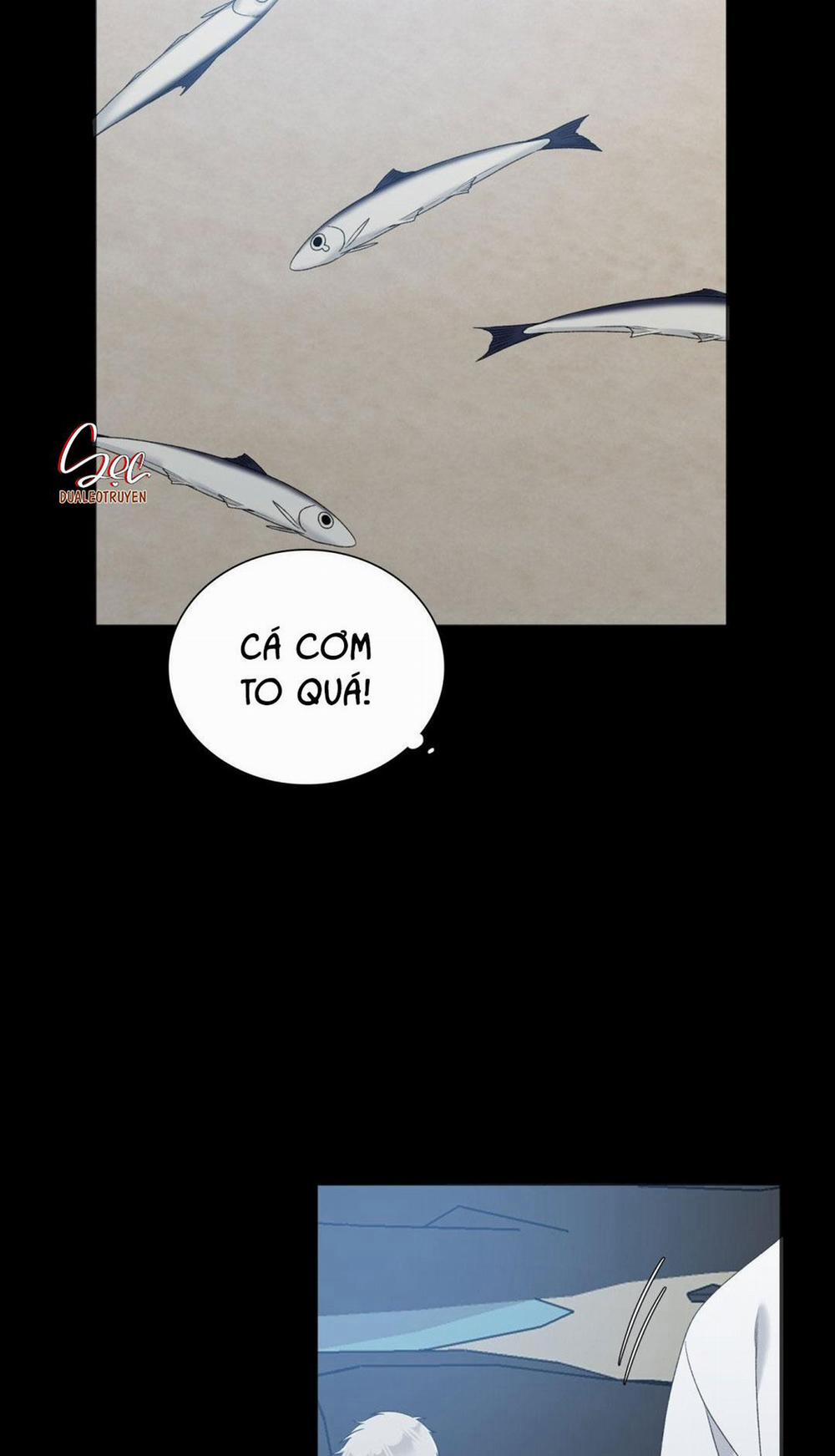 Fouls Start 29 trang 13