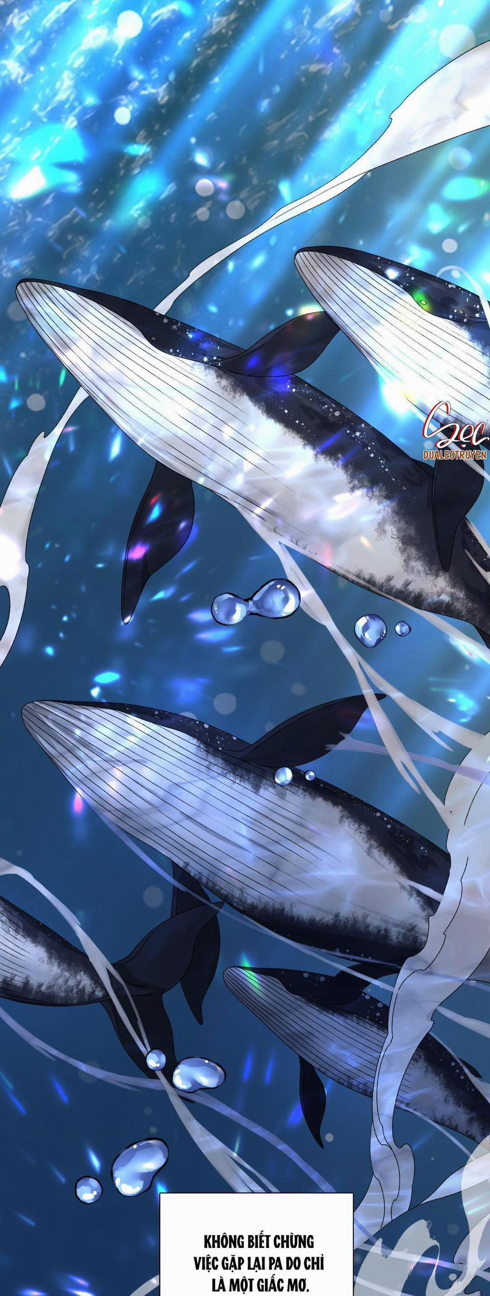 Fouls Start 4 trang 25