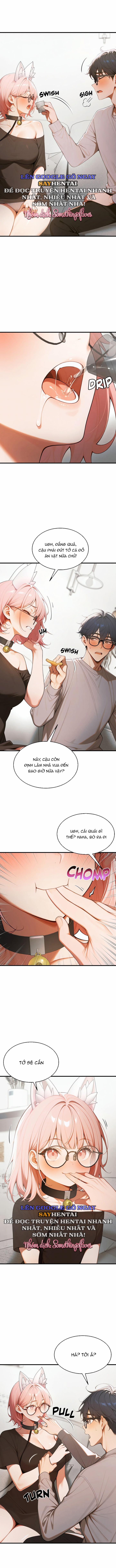 Fuckboy Maji 18 trang 8