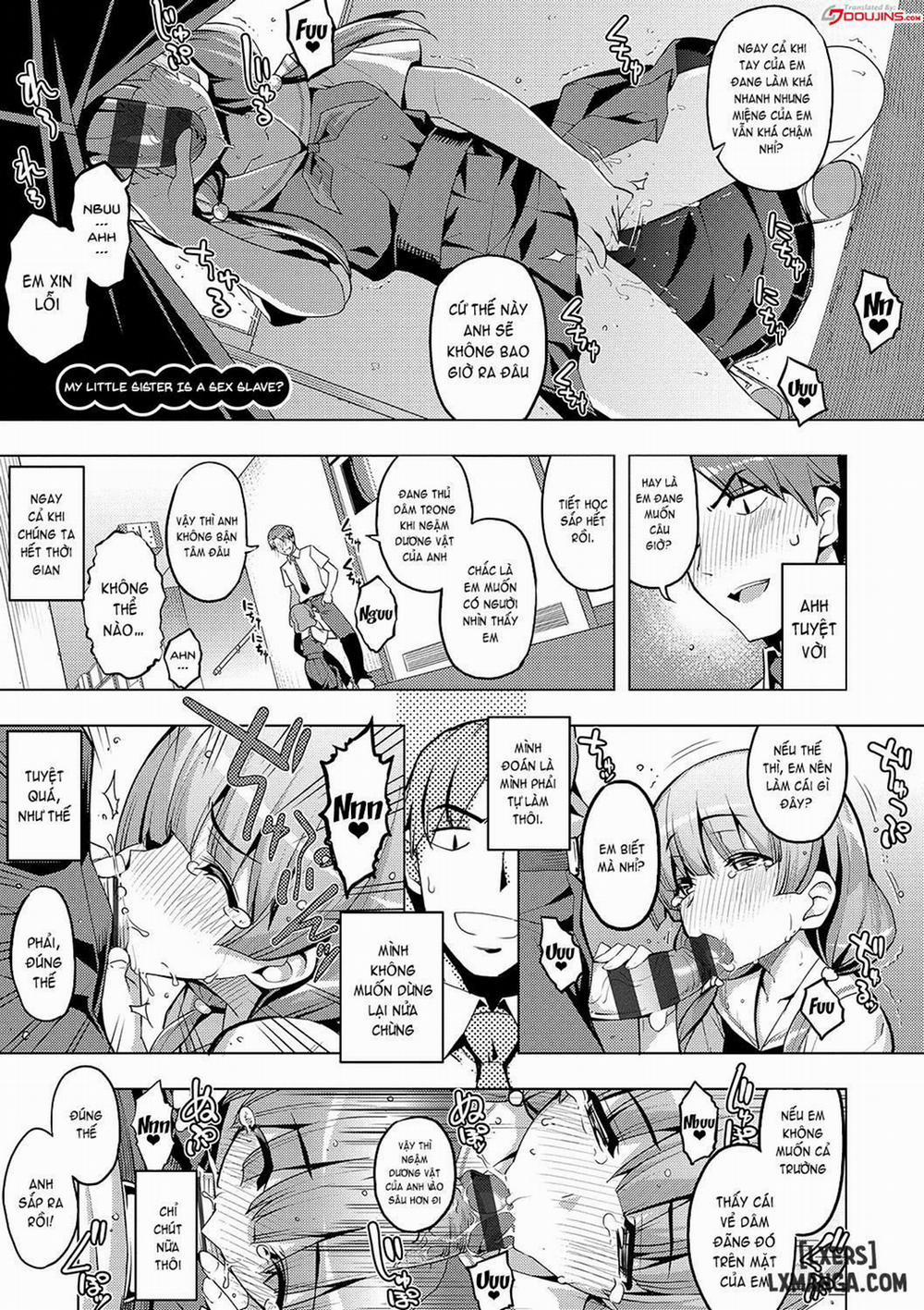 Fukutsu no Perorist 8 END trang 0