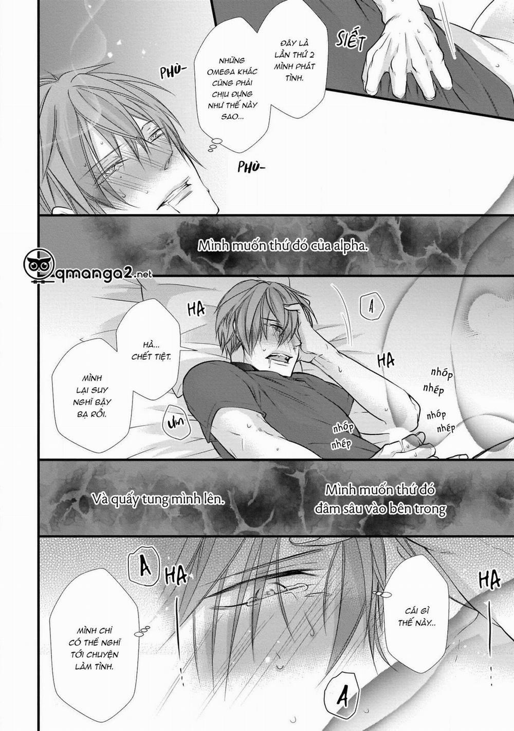 Gã Alpha Nhà Tôi Thật Ngoài Sức Tưởng Tượng 3 trang 12