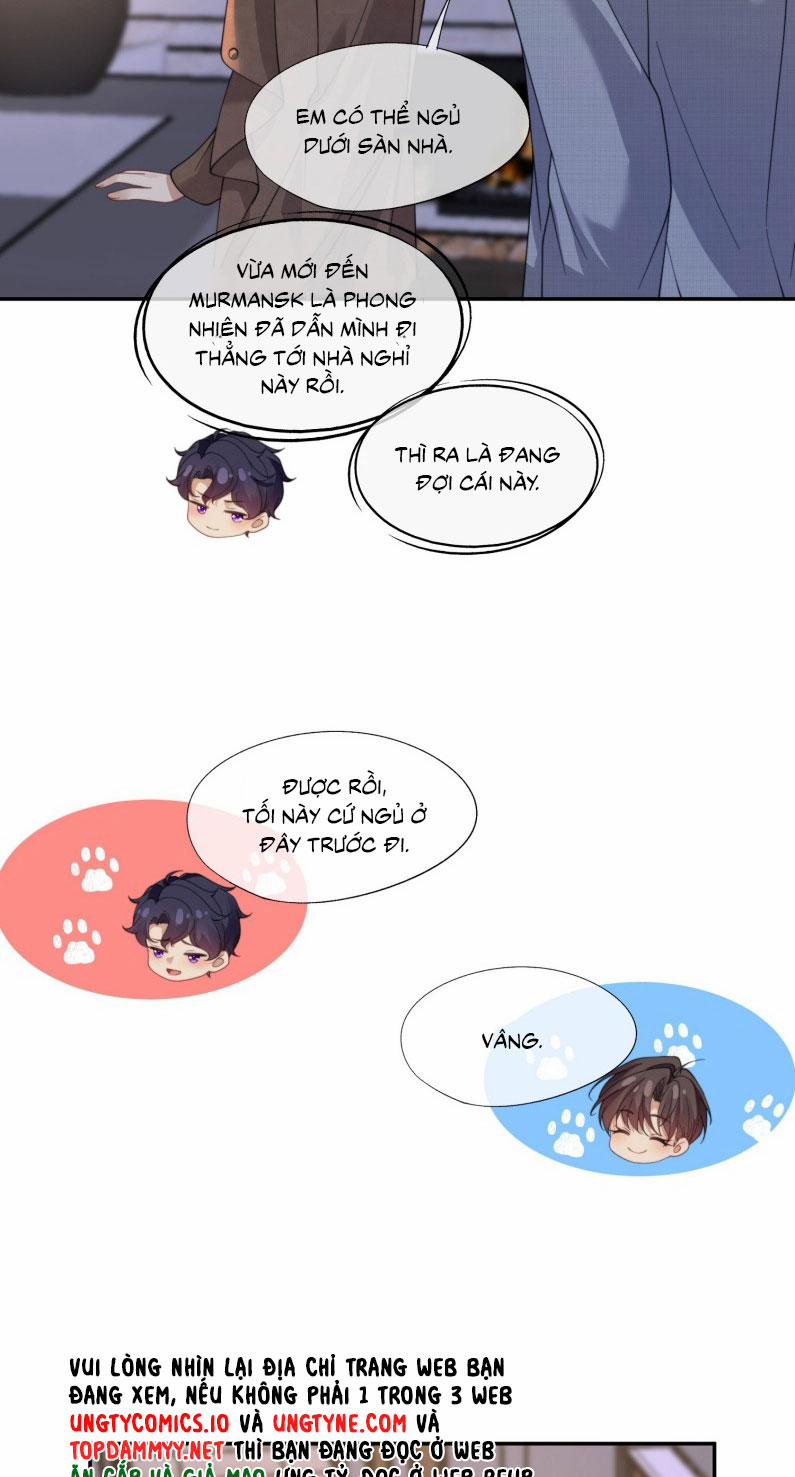 Gài Bẫy Ác Khuyển 66 trang 17