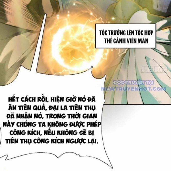 Gặp Mạnh Thì Càng Mạnh, Tu Vi Của Ta Không Giới Hạn 17 trang 19