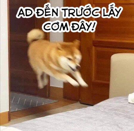 Gate - Jietai Kare No Chi Nite, Kaku Tatakeri 107 trang 31