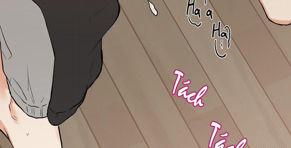 Gâu Gâu! 0 Side story 1 trang 147