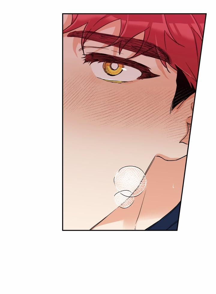 Gâu Gâu! 31 trang 13