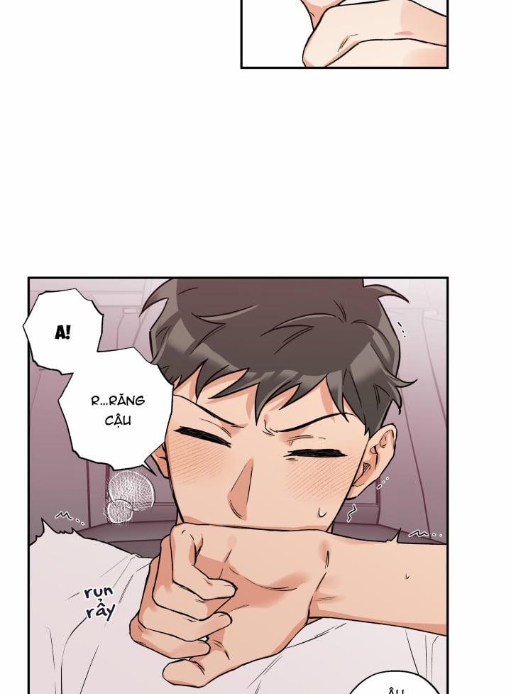 Gâu Gâu! 31 trang 5