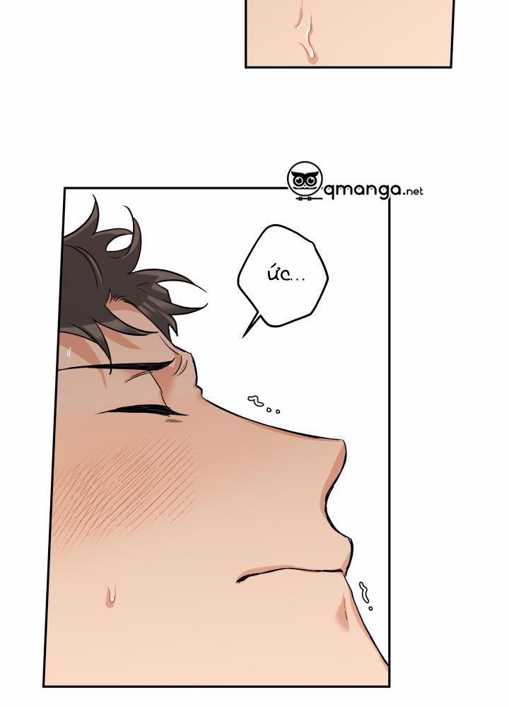 Gâu Gâu! 32 trang 19