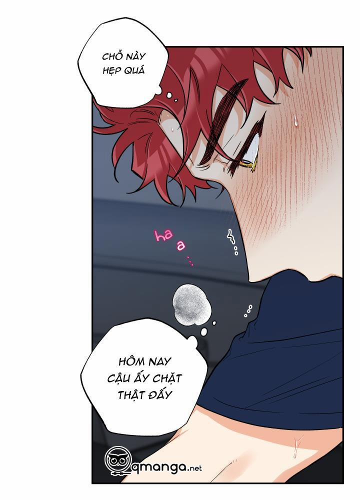 Gâu Gâu! 32 trang 4