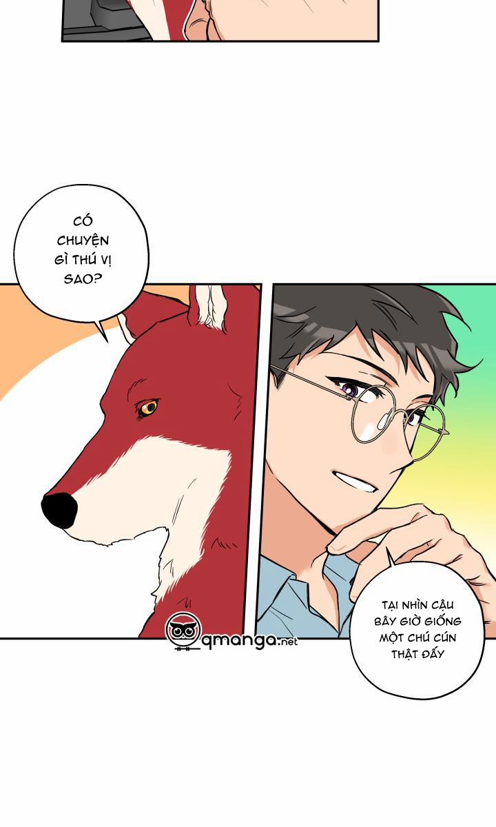 Gâu Gâu! 33 trang 25