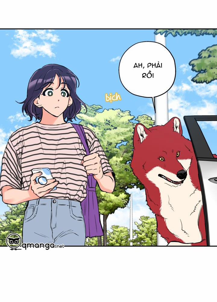 Gâu Gâu! 33 trang 44