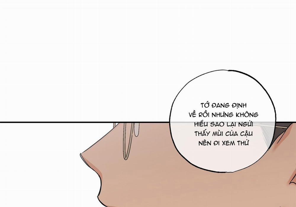 Gâu Gâu! 38 trang 205