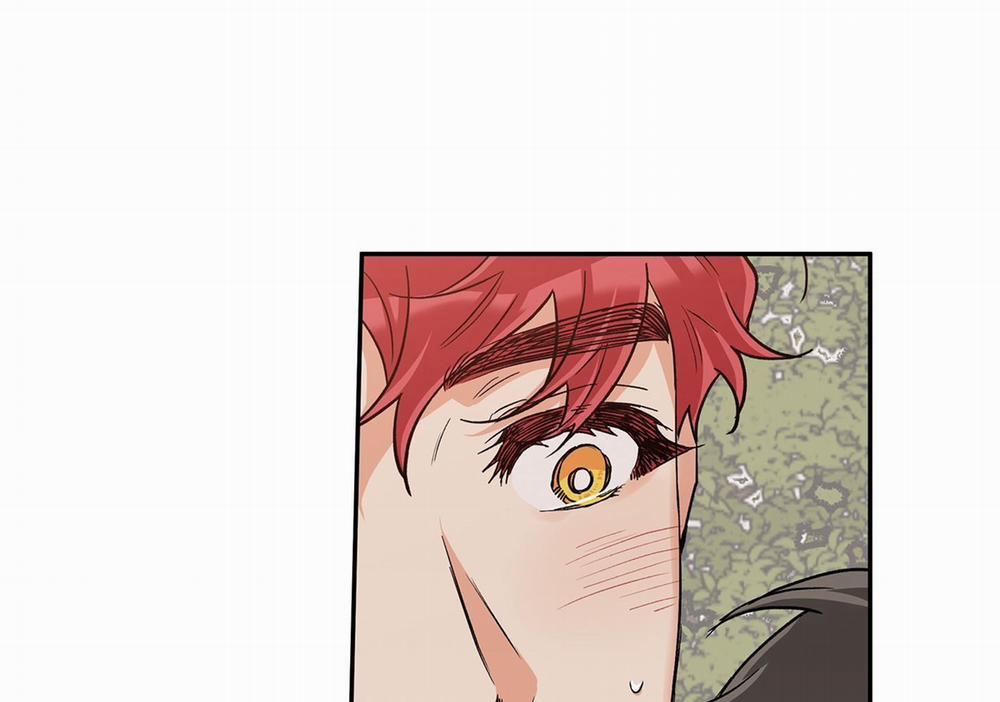 Gâu Gâu! 38 trang 211