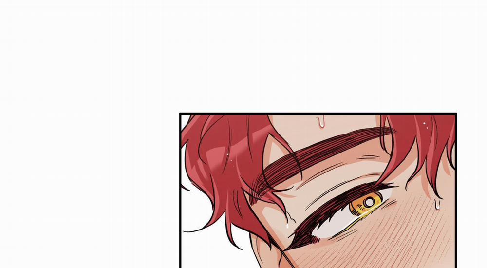 Gâu Gâu! 39 trang 115