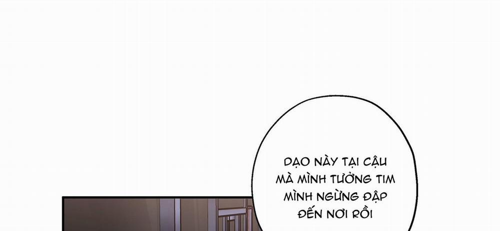 Gâu Gâu! 40 trang 125