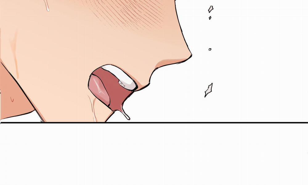 Gâu Gâu! 40 trang 5