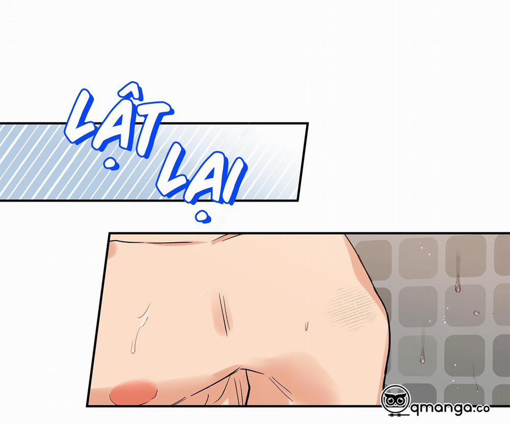 Gâu Gâu! 40 trang 61