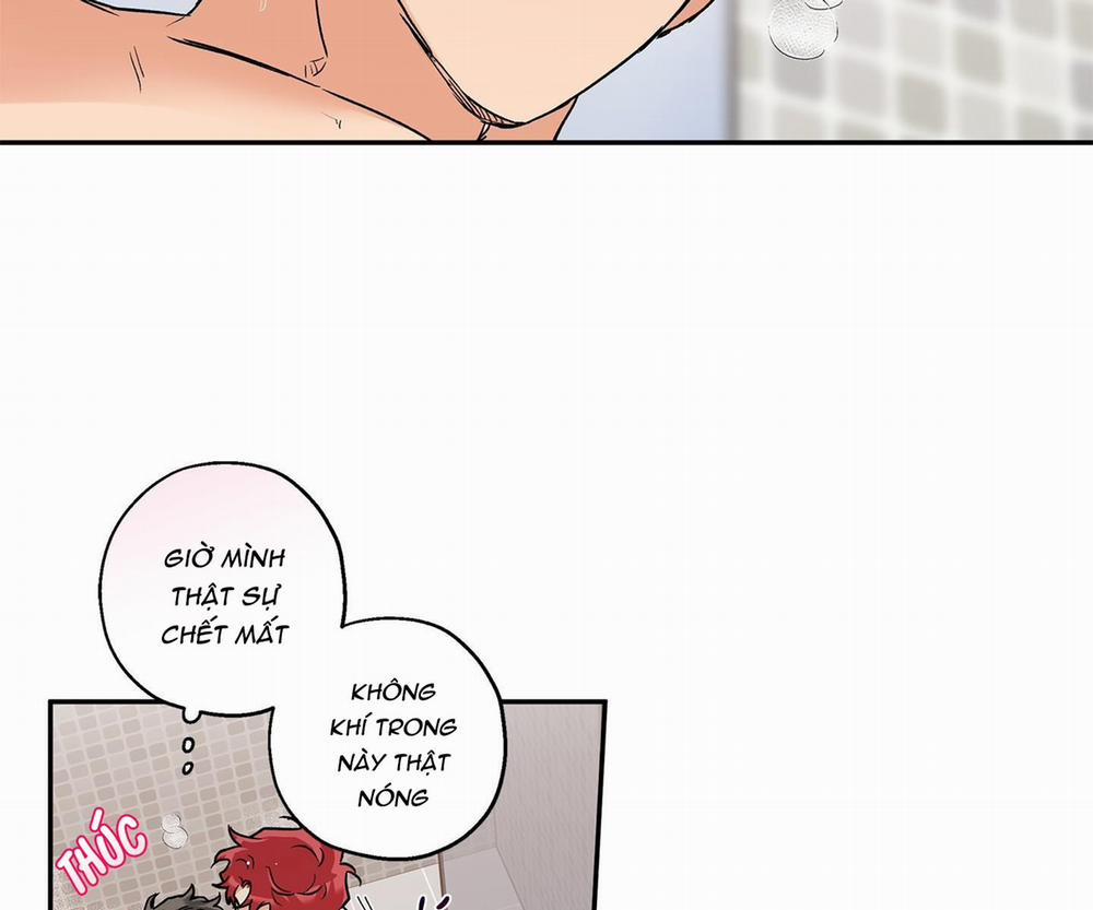 Gâu Gâu! 40 trang 81