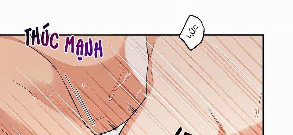 Gâu Gâu! 40 trang 91