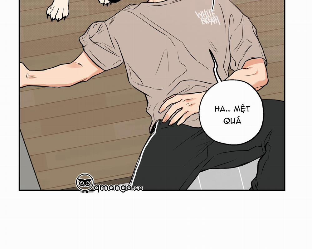 Gâu Gâu! 43 trang 107