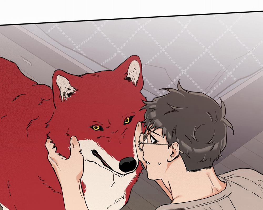 Gâu Gâu! 43 trang 91