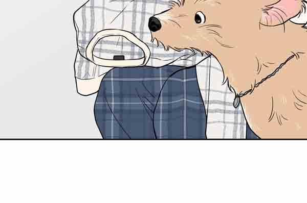 Gâu Gâu! 49 trang 109