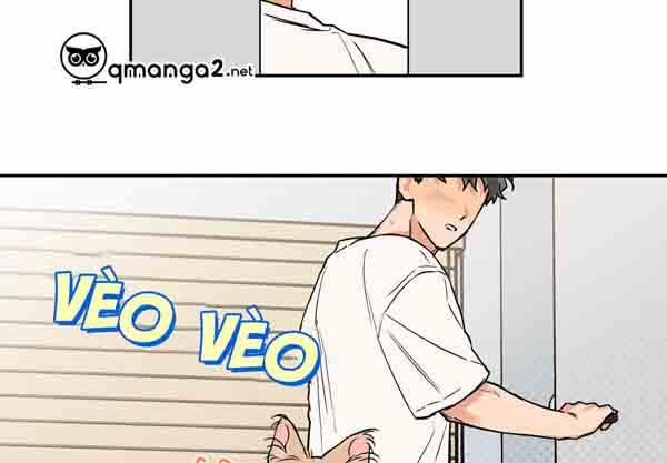 Gâu Gâu! 49 trang 53